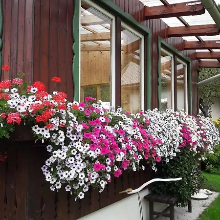 Dalija Apartman *
